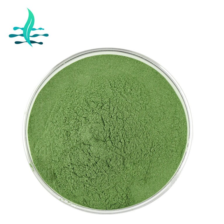 Pure natural organic Green Barley Grass juice powder Barley Grass ...